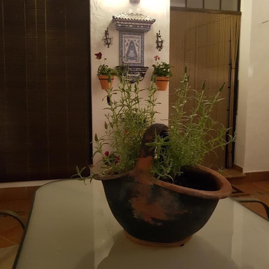 Casa Los Tres Aires El Rocío Εξωτερικό φωτογραφία
